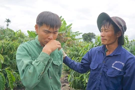 Công lý và nhiệm vụ chính trị nhìn từ vụ cưa gỗ khô