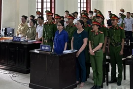 Đang phúc thẩm vụ cô giáo Dung ở Nghệ An bị phạt 5 năm tù