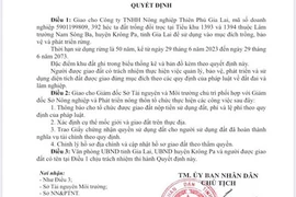 Nghi giả chữ ký Chủ tịch UBND tỉnh Gia Lai ra quyết định cấp gần 400 ha đất trồng rừng