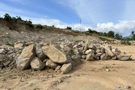 Thanh tra 8 doanh nghiệp ở Bình Định, phát hiện nhiều sai phạm về sử dụng đất