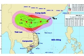 Bão Thần sét đổ bộ vào Việt Nam gây mưa diện rộng, giật cấp 14
