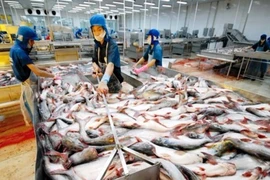 Thủy sản có kháng sinh tăng, thịt chứa chất cấm giảm