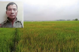 Nghi bị trộm ví, người đàn ông trả thù kỳ lạ với thuốc diệt cỏ