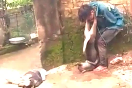 Dân treo xác chó vào cổ kẻ trộm!