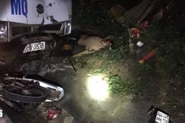 Xe máy va chạm ô tô tải, 3 người tử vong tại chỗ