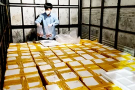 Xe tải chở 1,8 tấn cá khoai ướp chất cấm đi tiêu thụ ở Thanh Hóa
