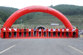 Chính thức vận hành cao tốc Mai Sơn - Quốc lộ 45 nối Ninh Bình, Thanh Hóa