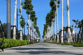 Thanh Hóa sắp có đại lộ ven biển đẹp nhất tỉnh 