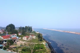 Biển hồi sinh, thôi 'nuốt' làng ở Thanh Hóa