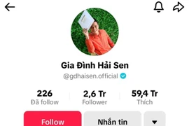 Chủ kênh Tiktok Gia đình Hải Sen bị khởi tố bắt giam do buôn bán hàng giả