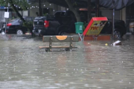 Nhiều tuyến phố ở Thanh Hóa ngập sâu, cây xanh đổ gãy do bão số 10
