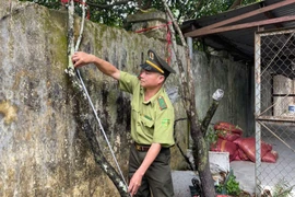 Kiểm lâm Thanh Hóa đưa ra phương án xử lý tang vật cây muội hồng