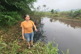 Bộ Công an vào cuộc vụ nước giếng đổi màu ở Thanh Hóa