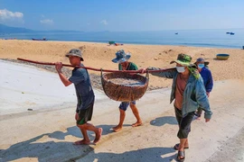 Ngư dân Quảng Bình trúng đậm, thu tiền triệu mỗi ngày