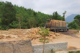 Quảng Bình yêu cầu rà soát tất cả các trạm cân ở huyện Bố Trạch