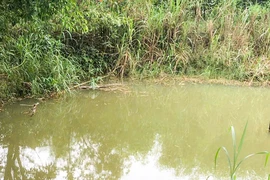 Xót xa cháu bé 2 tuổi đuối nước tử vong ở ao nuôi cá trong vườn nhà