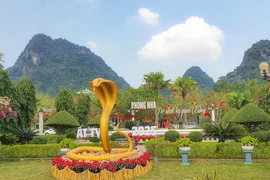 Chiêm ngưỡng linh vật rắn ở Quảng Bình