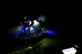 Nên làm gì khi phát hiện cây sưa nằm vùi lấp dưới lòng suối?