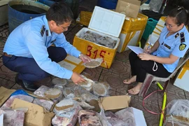 Quảng Bình thu giữ gần 3 tạ thực phẩm không rõ nguồn gốc