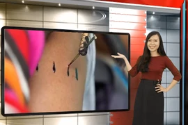 Nghệ nhân xăm hình bằng... gai bưởi, nhọ nồi