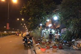 Đêm 30, người dân TP.HCM đi săn mai giá rẻ
