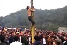 Nam thanh niên ngã trọng thương khi trèo cây chuối