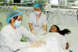 Đi cắt cỏ bò, bị ong vò vẽ đốt hơn 140 mũi!