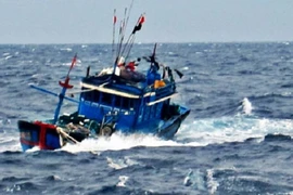 Vớt xác chết trôi giạt trên biển Cà Mau