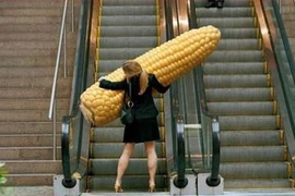 Có chồng như không, tội gì không ngoại tình?