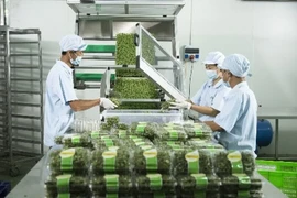 Vingroup liên kết với 1.000 hợp tác xã và hộ nông dân