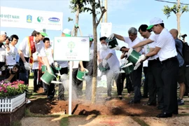Trồng hơn 110.000 cây xanh tại Bà Rịa-Vũng Tàu