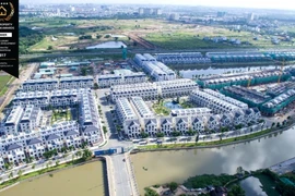 Định giá Top 40 thương hiệu giá trị nhất Việt Nam