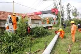 “Những ngôi sao màu cam” tỏa sáng trên đất Phú Yên