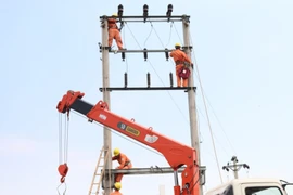 EVNNPC đảm bảo cấp điện ổn định dịp Tết Mậu Tuất 2018