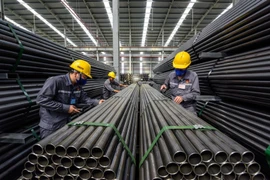 Tôn Hoa Sen nói gì về việc giảm lợi nhuận?