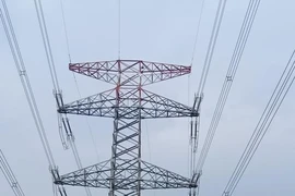 Vận hành đường dây 500kV Vĩnh Tân - rẽ Sông Mây - Tân Uyên 