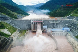 Điện lực Việt Nam: 65 năm thắp sáng niềm tin