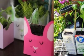 Sống xanh trong cuộc sống hiện đại: Dễ hay khó?