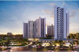 An Gia chào sàn HOSE giá tham chiếu 25.000 đồng/cp