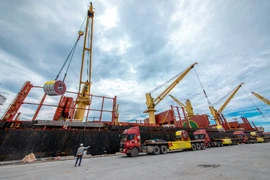 Hoa Sen xuất 50.000 tấn tôn qua châu Âu và châu Mỹ