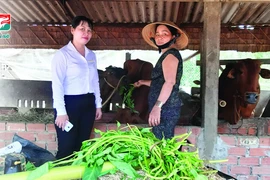 Kienlongbank giảm 50% trên tổng số tiền lãi phải thanh toán