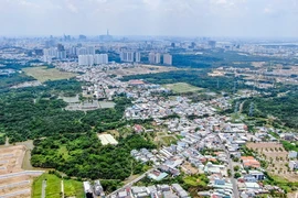 Bất động sản Cần Giuộc sôi sục