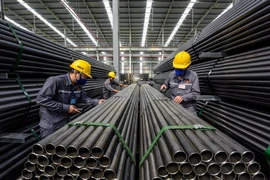 Tôn Hoa Sen vừa báo lãi, giá cổ phiếu tăng mạnh