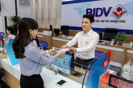 BIDV miễn phí chuyển đổi số cho hộ kinh doanh thành doanh nghiệp
