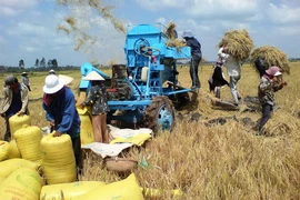 Agribank sát cánh cùng doanh nghiệp, khôi phục kinh tế đất nước