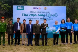 BIDV khởi động chương trình trồng ‘1 triệu cây xanh’ ​