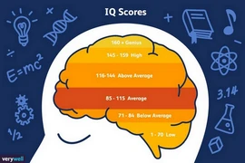 Mách bạn website để test chỉ số IQ online dễ dàng