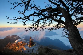 Du xuân cầu an trên đỉnh thiêng Fansipan - trải nghiệm đáng thử