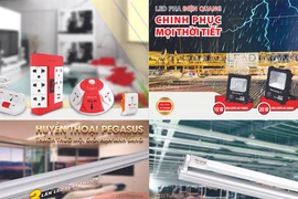 Điện Quang được vinh danh tại Lễ trao giải Sao Vàng Đất Việt 2021