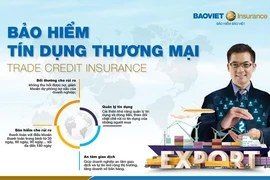 Giải pháp cho các rủi ro tín dụng đối với doanh nghiệp xuất khẩu 